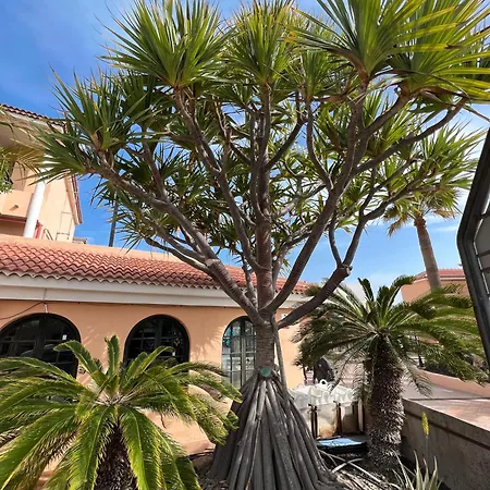 Paz Ocean View, Air Condition, Wifi, Heated Pool Appartement