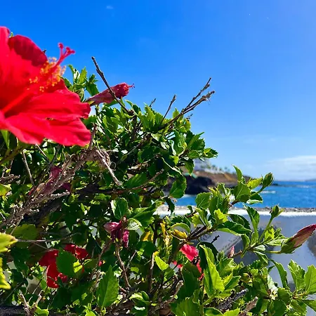 Appartement Paz Ocean View, Air Condition, Wifi, Heated Pool *