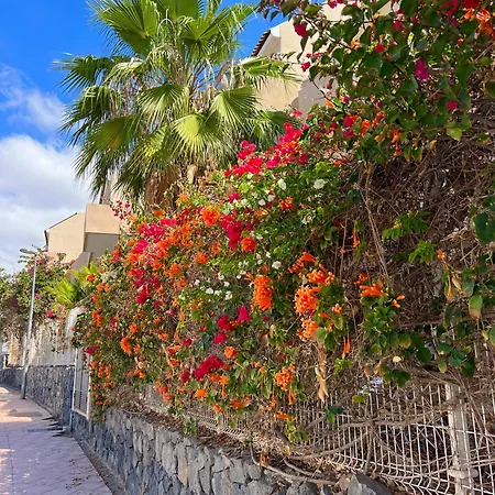 Paz Ocean View, Air Condition, Wifi, Heated Pool * San Miguel de Abona