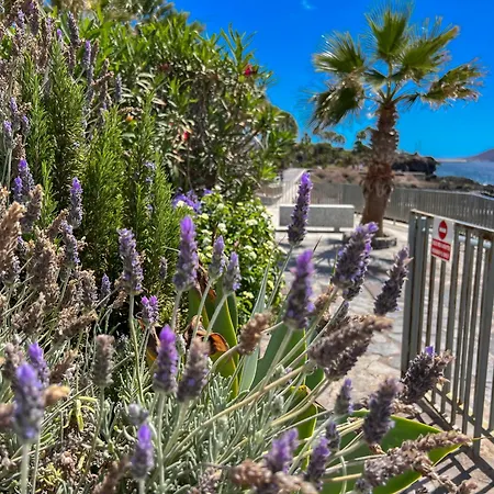 Paz Ocean View, Air Condition, Wifi, Heated Pool Appartement