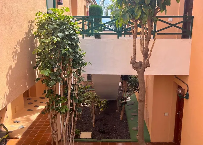 Paz Ocean View, Air Condition, Wifi, Heated Pool