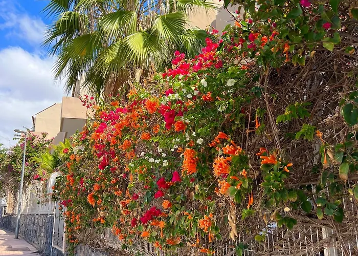 Paz Ocean View, Air Condition, Wifi, Heated Pool * San Miguel de Abona