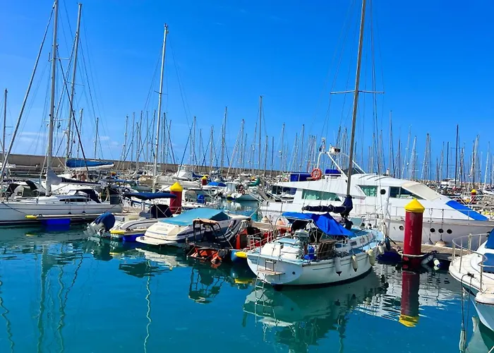 Paz Ocean View, Air Condition, Wifi, Heated Pool *