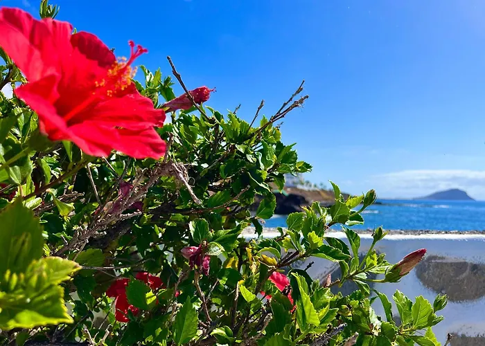 公寓 Paz Ocean View, Air Condition, Wifi, Heated Pool *