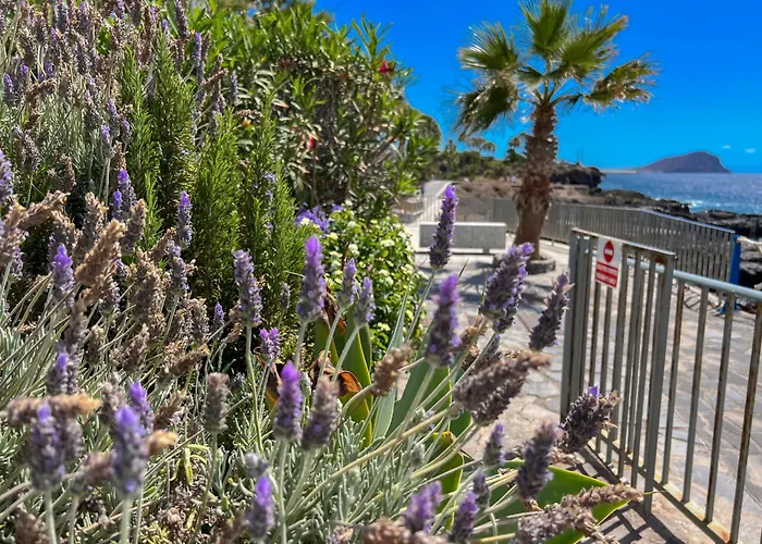 Paz Ocean View, Air Condition, Wifi, Heated Pool Apartmán